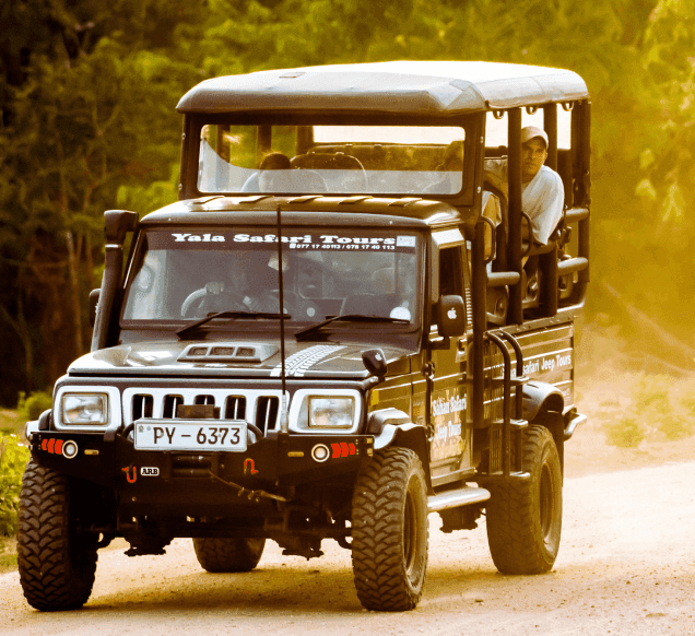 Safari cab — Yala National Park